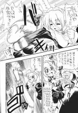 Page 14 of MAID GP2001