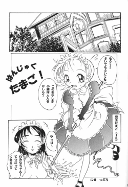 Page 33 of MAID GP2001