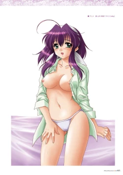 Page 27 of Alice soft "Tsuma wife series" Art Works