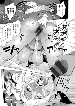 Page 17 of Seijo Insetsu