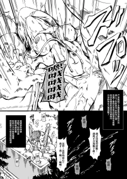 Page 21 of Zappitsu Light