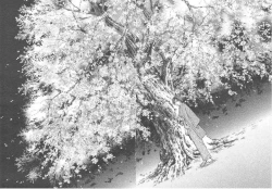 Page 194 of Sakura Gari Ge