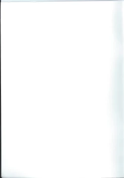 Page 19 of 蜘蛛絲採集教學 | "Spider Silk Collection"