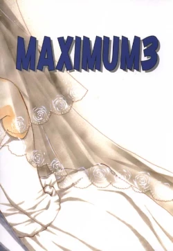 Page 41 of MAXIMUM 3