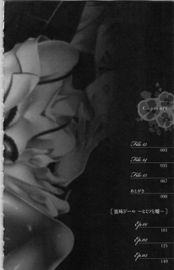 Page 4 of Hishoka Pet no Sodatekata 3