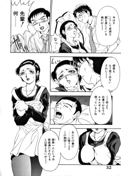 Page 33 of Shukujo Ryoujoku | Lady Rape