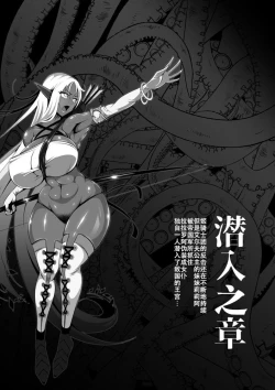 Page 11 of Inmon Akuochi no Hime Kishidan【不可视汉化】