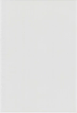 Page 4 of ECO Commerce!!