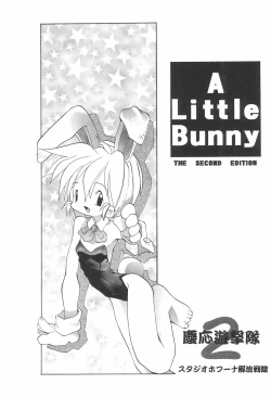 Page 3 of A LITTLE BUNNY