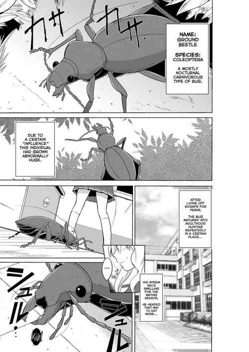 Download Sasara no Mushiasobi