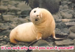 Page 14 of Kashima-chan ga Pyuppyusshite Kureru Omake & Rough Hon