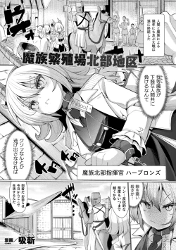 Page 47 of 2D Comic Magazine Kikaikan Ningen Bokujou Vol. 2