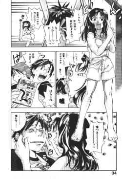 Page 33 of ever green