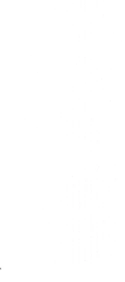 Page 4 of 3Bagatelle