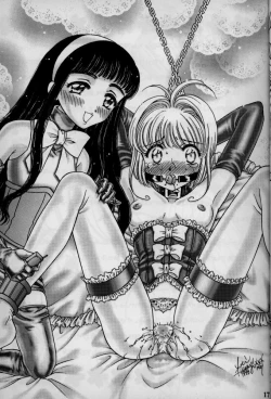 Page 19 of Koi Suru Cherry