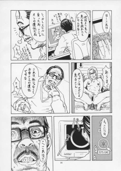 Page 13 of PIPER GTS