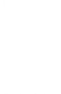 Page 2 of Douzo, Osukina You ni Otsukai Kudasai.