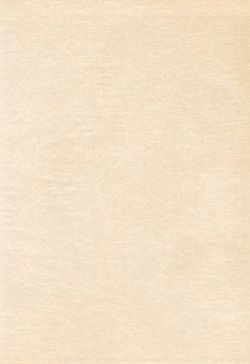 Page 4 of BABELCAPTOR