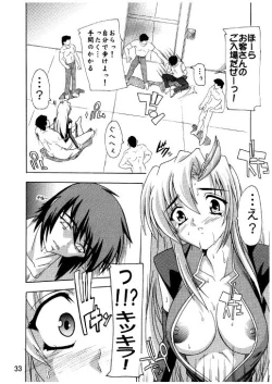 Page 30 of Lacus Destiny ~ Soushuuhen 3