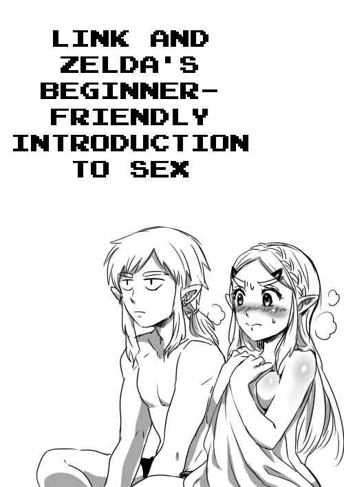 [Wasabi] Link to Zelda no Shoshinsha ni Yasashii Sex Nyuumon | Link and Zelda's Beginner-friendly Introduction To Sex (The Legend of Zelda: Breath of the Wild) [English] [q91]
