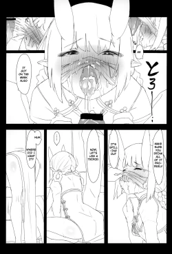 Page 14 of HIMITSU IV