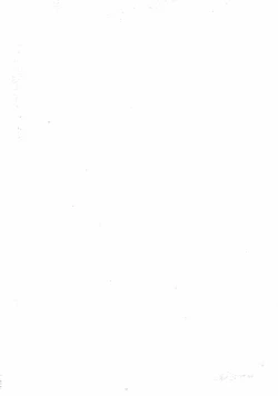 Page 3 of Okini Mesumama