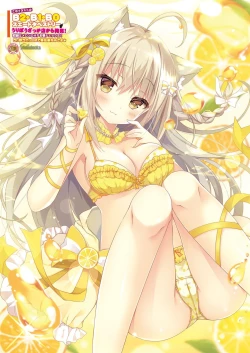 Page 26 of 月刊うりぼうざっか店 2020年9月4日発行号