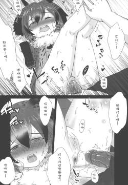 Page 18 of JAPARI AUCTION