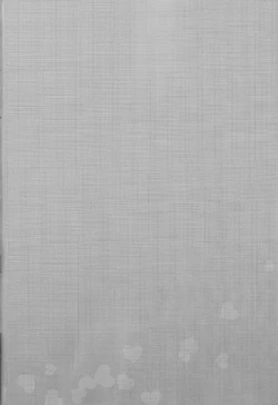 Page 40 of )Himitsu no hōkagoshi -