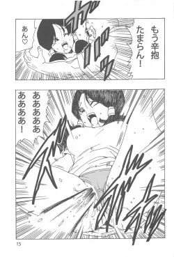 Page 16 of Videl LOVE