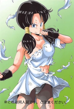 Page 26 of Videl LOVE