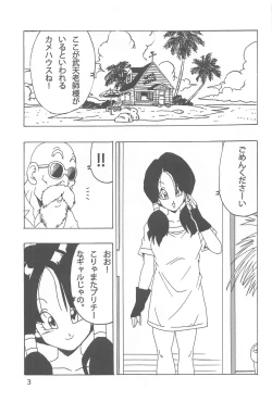Page 4 of Videl LOVE