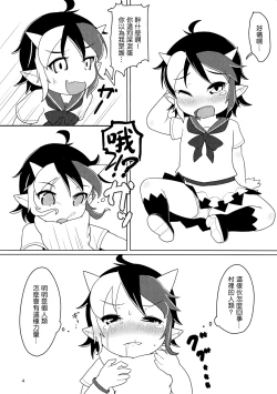 Page 3 of Reversible