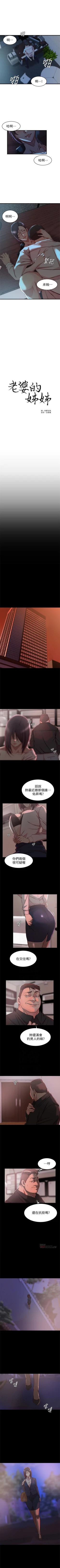 Page 208 of 老婆的姊姊 1-33 官方中文（連載中）