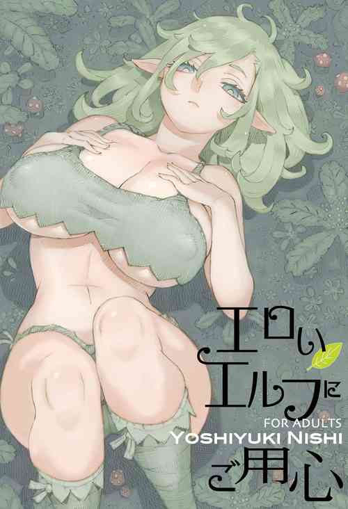 [Naivta (Nishi Yoshiyuki)] Eroi Elf ni Goyoujin [Digital]