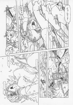 Page 17 of To wa Nabakari no.