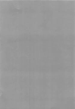 Page 2 of Mizugi Shikibu-san ga Kininatte Chousa ni Shuuchuu Dekinai node Nuite Moratta Ken