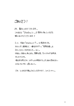 Page 3 of Shadow's 09