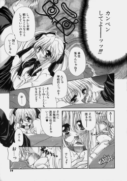 Page 22 of Miruku No Mi