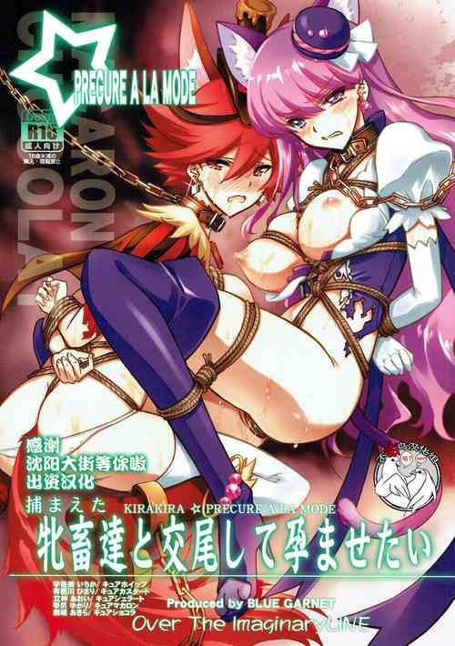 (C92) [Blue Garnet (Serizawa Katsumi)] Tsukamaeta Mechiku Tachi to Koubi Shite Haramasetai (Kirakira PreCure a la Mode) [Chinese] [不咕鸟汉化组]