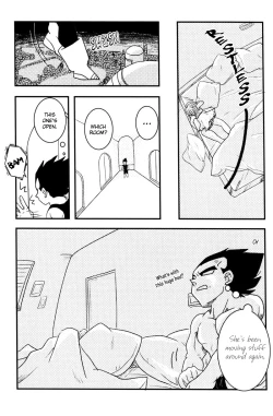Page 17 of Vegeta Attacks