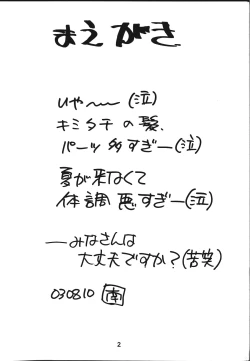 Page 3 of [EKAKIGOYA NOTESYSTEMKITSCH 22