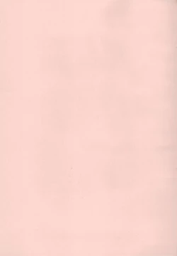 Page 20 of ReMarriage