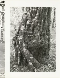 Page 6 of Dual Symphony