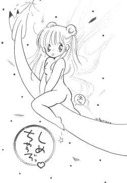 Page 19 of GRAND SLAM II