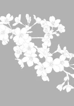 Page 3 of Hana no Chiruran