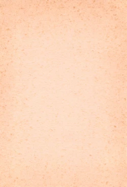 Page 38 of BRAID ON BLADE The Secondary Edition