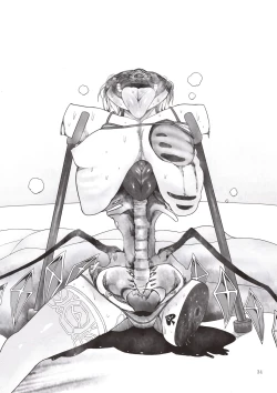 Page 34 of Shoujo Kaibou