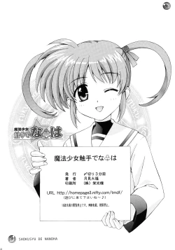Page 17 of Mahou Shoujo Shokushuu de Nanoha