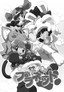 Page 2 of Anyamaru Planet